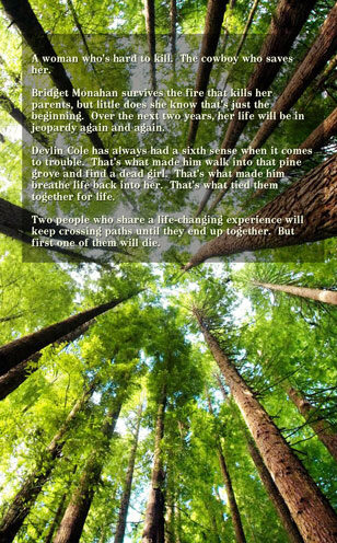 Lottery Bride 11 Among the Pines by Caty Callahan, sweet romances for everyone