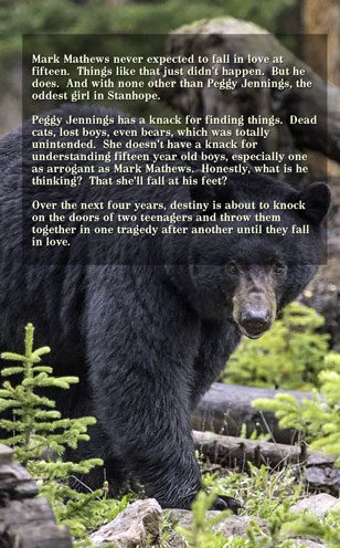 Lottery Bride 4 Hitched by Caty Callahan, sweet romances for everyone